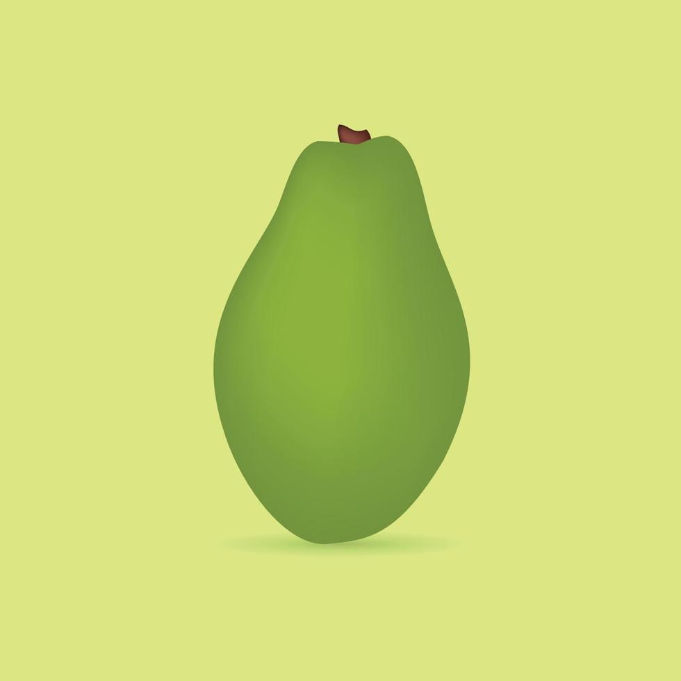 Green Papaya Fruit Vector Illustration