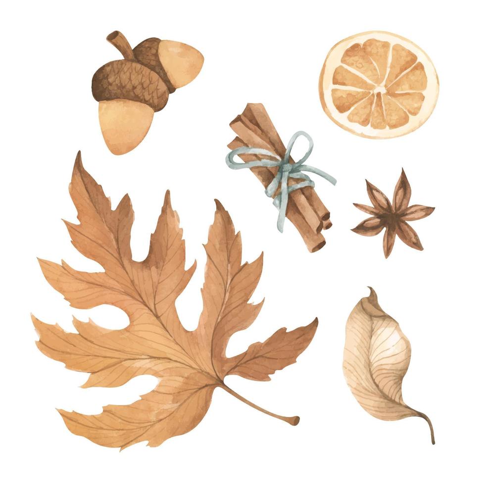 Watercolor autumn elements collection. vector