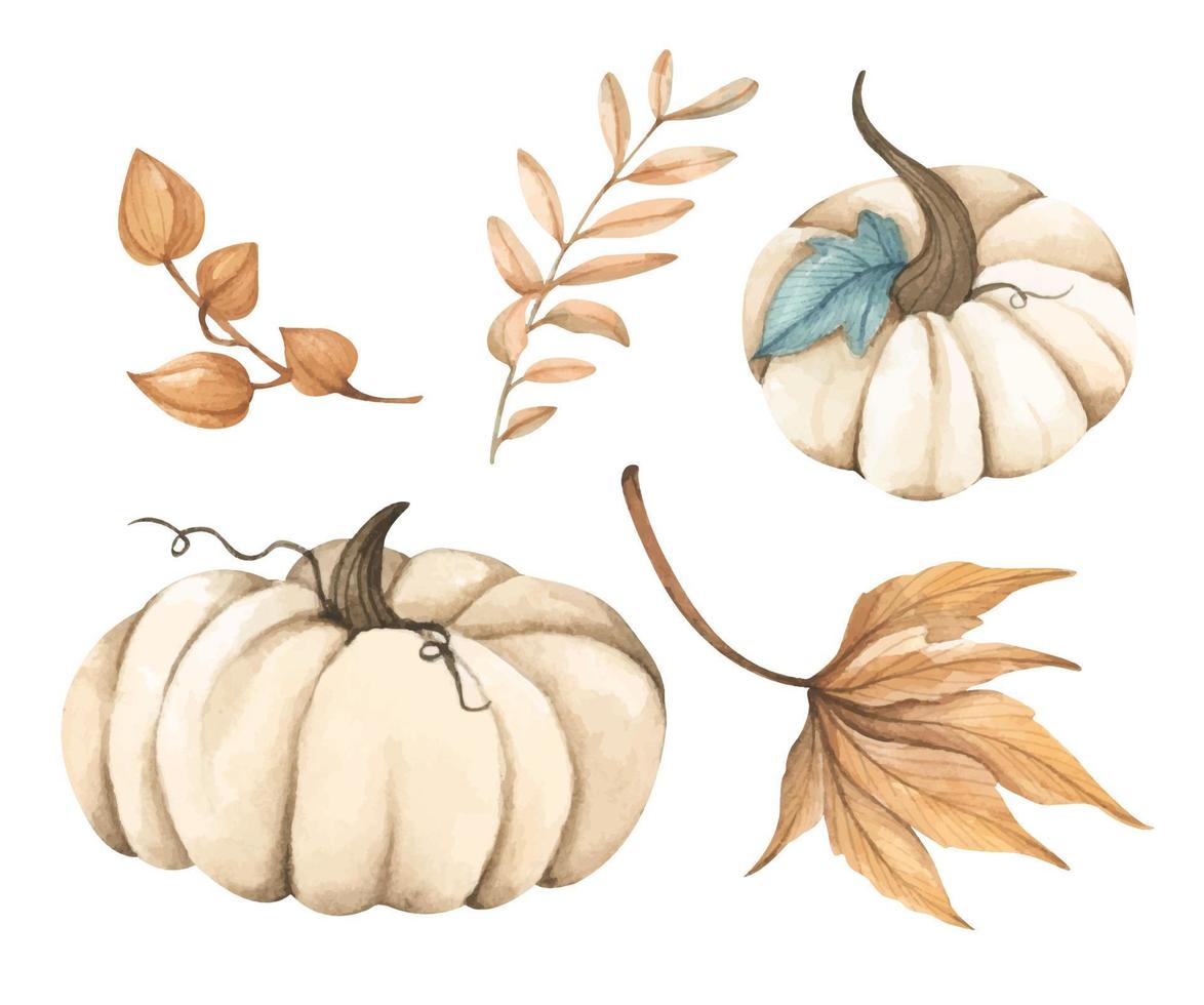 Watercolor autumn elements collection. vector