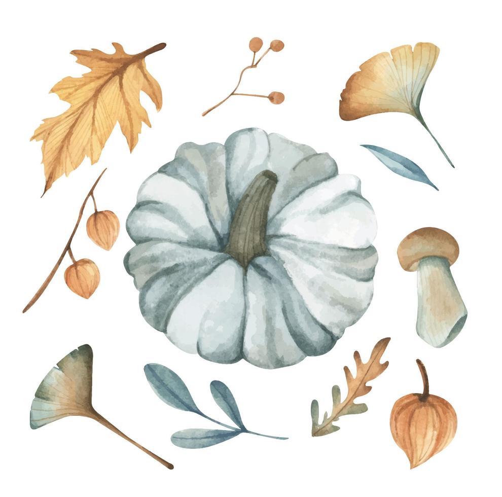 Watercolor autumn elements collection. vector