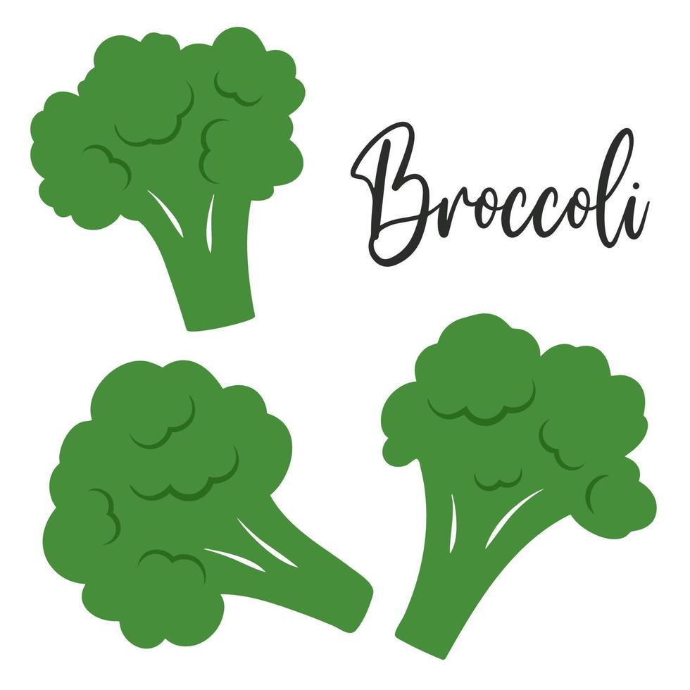 Fresh juicy green broccoli florets vector set