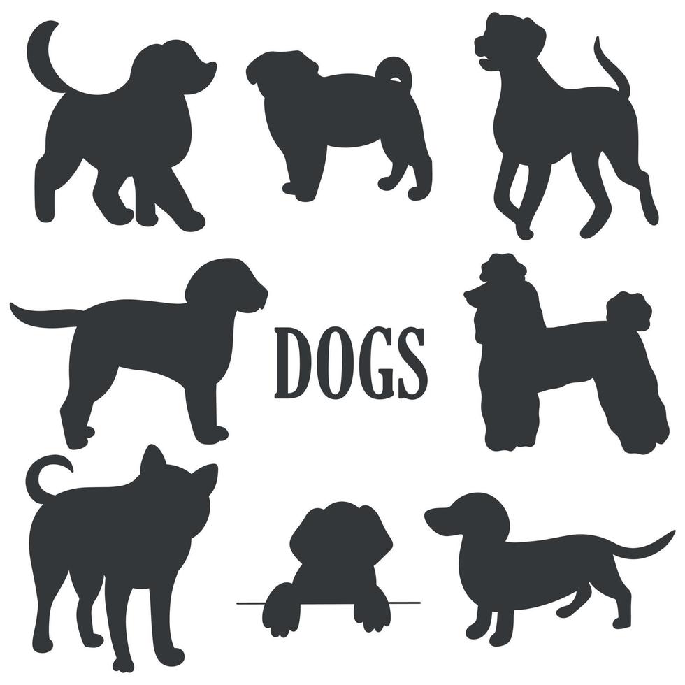perros, conjunto, silueta negra, blanco, plano de fondo vector