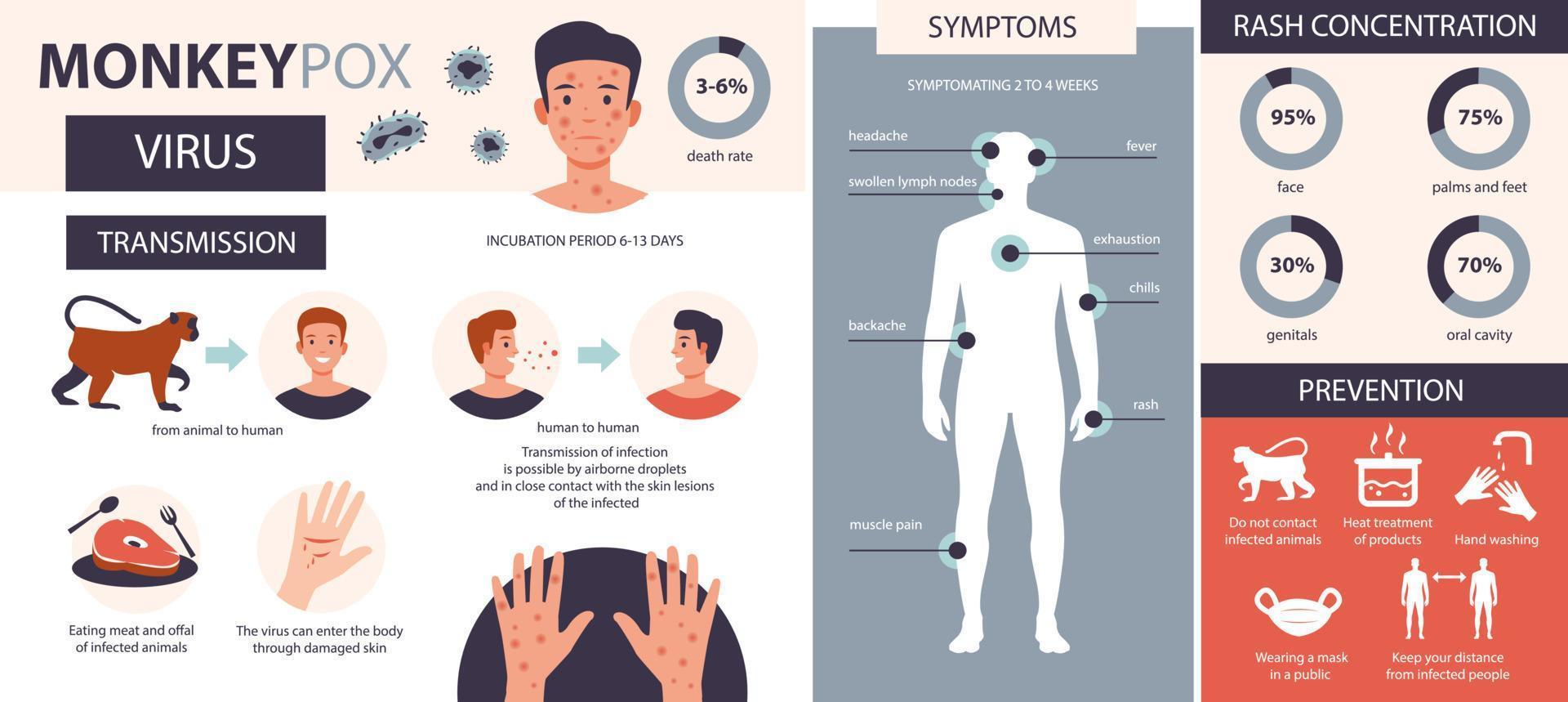 infografía de la viruela del mono. infección, síntomas, prevención de la enfermedad de la viruela del mono. ilustración vectorial plana. vector