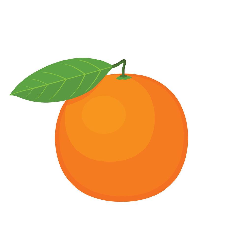 Flat vector of Orange fruit isolated on white background. Flat illustration graphic icon