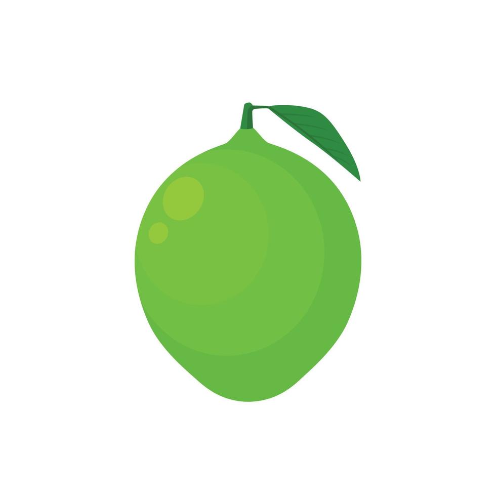 Flat vector of  Lime isolated on white background. Flat illustration graphic icon