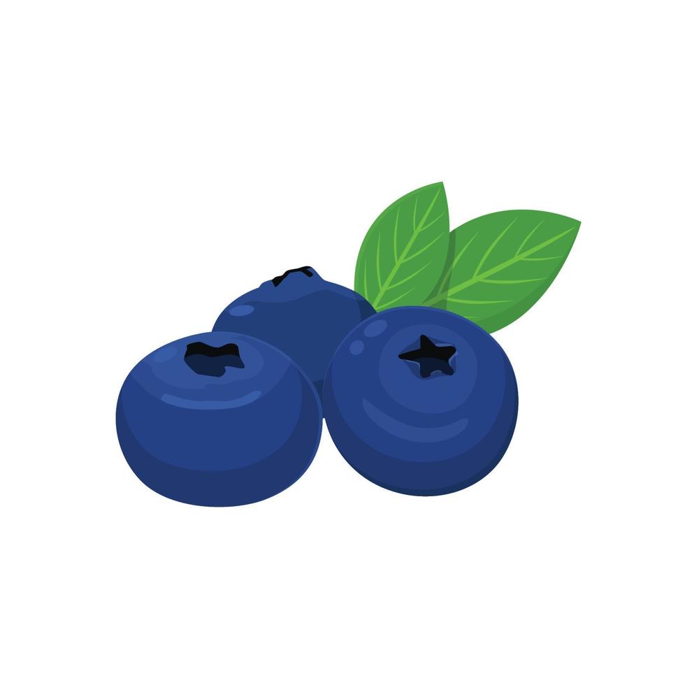 Flat vector of blueberries isolated on white background. Flat illustration graphic icon