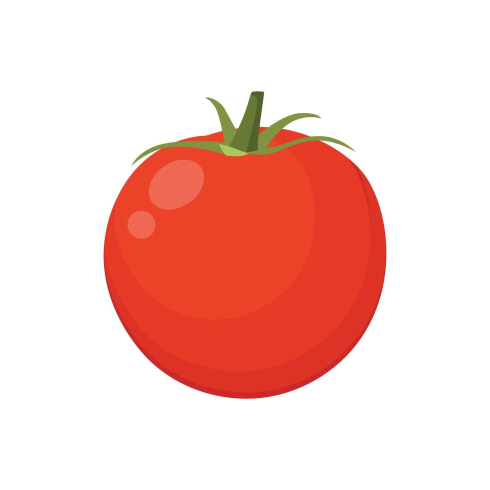 vector plano de tomate aislado sobre fondo blanco. icono gráfico de ilustración plana