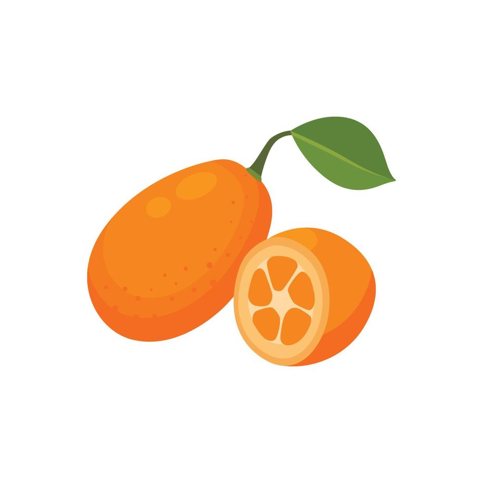 Flat vector of Kumquat fruit isolated on white background. Flat illustration graphic icon