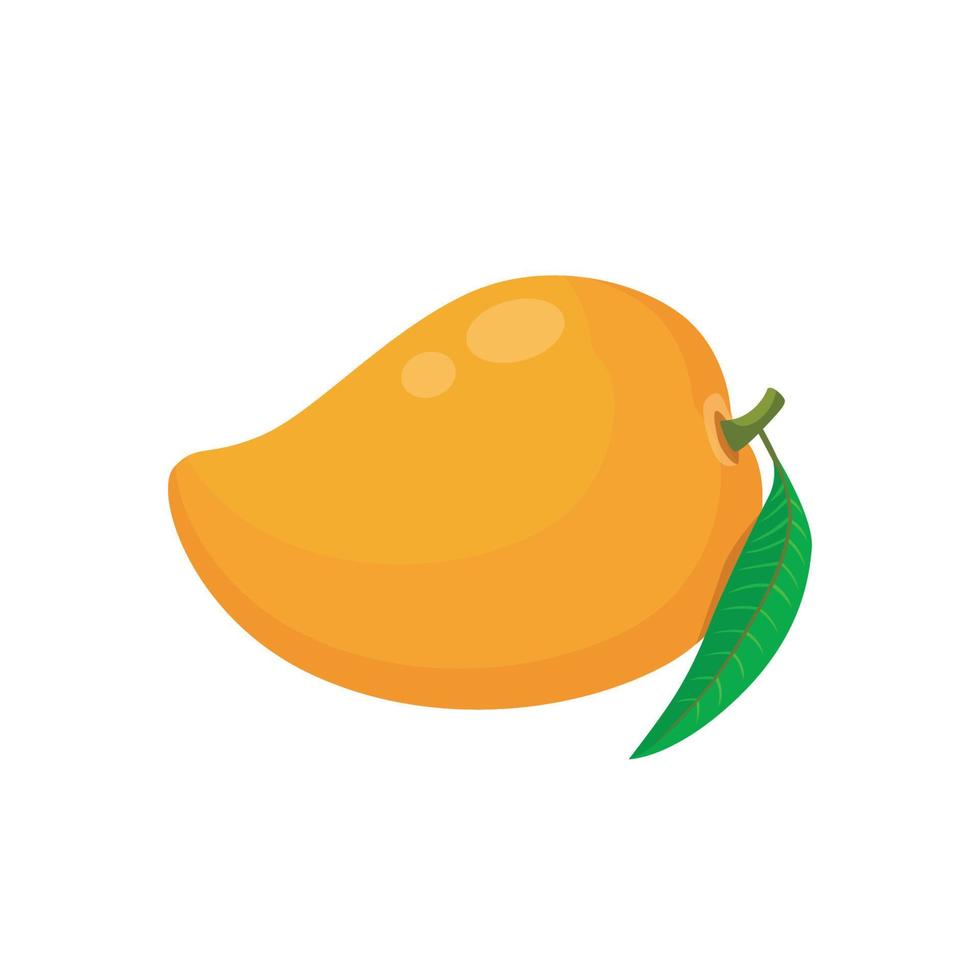 vector plano de mango, tipo de fruta tropical y exótica aislado sobre fondo blanco. icono gráfico de ilustración plana