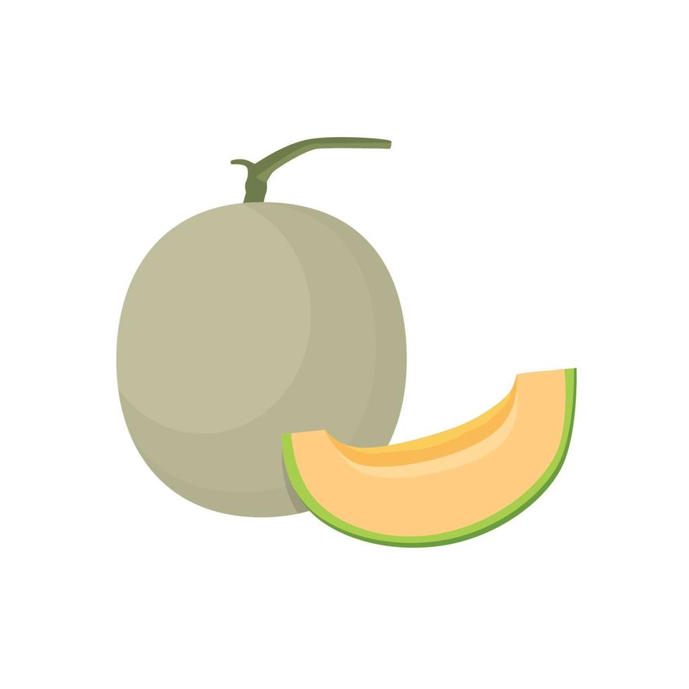 Flat vector of Rockmelons fruit isolated on white background. Flat illustration graphic icon