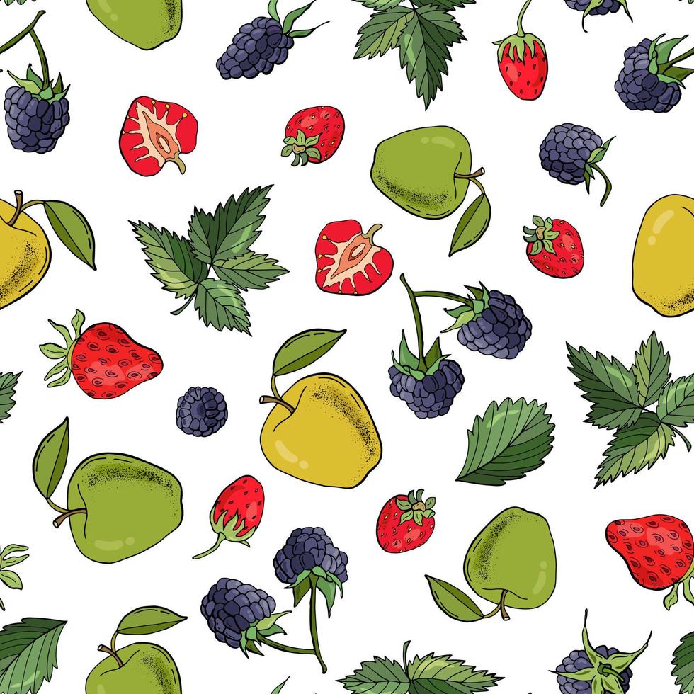 fondo transparente con frutas - fresa, mora, manzana vector