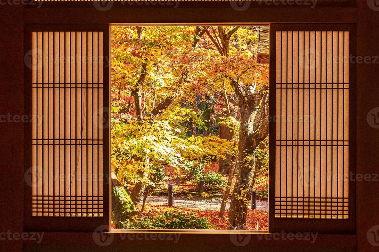 frame between wooden window and beautiful Maple tree in Japanese Garden at Enkoji temple, Kyoto, Japan. Landmark and famous in autumn season photo