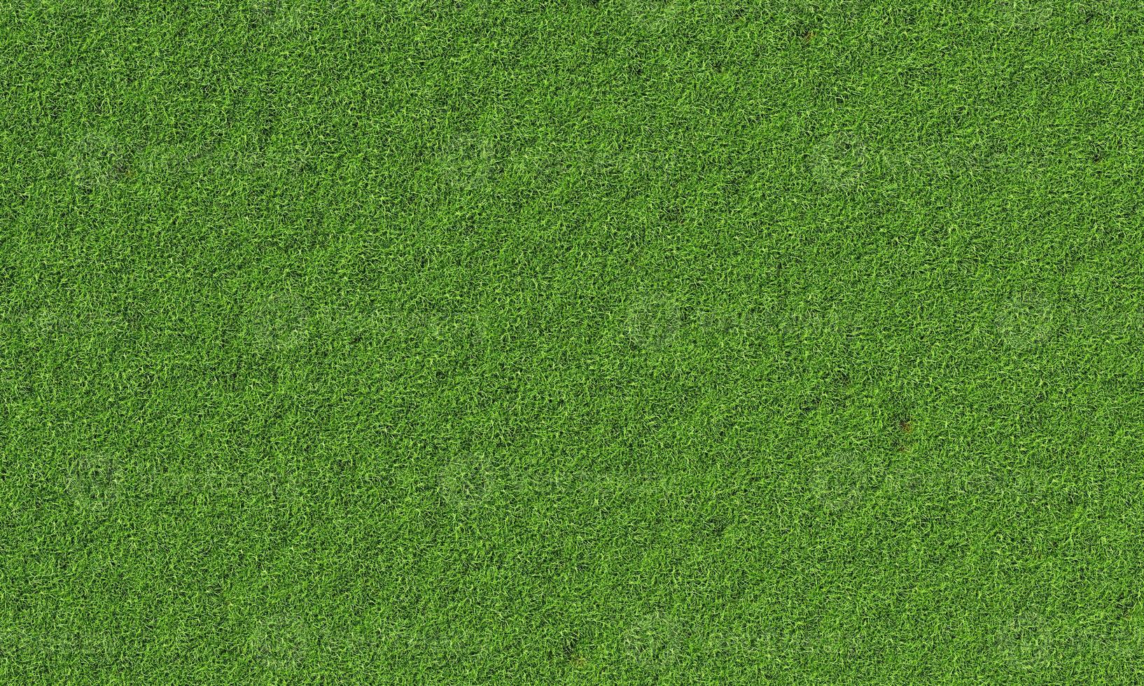 Top view of fresh green grassy background. Nature and wallpaper concept. 3D illustration rendering photo