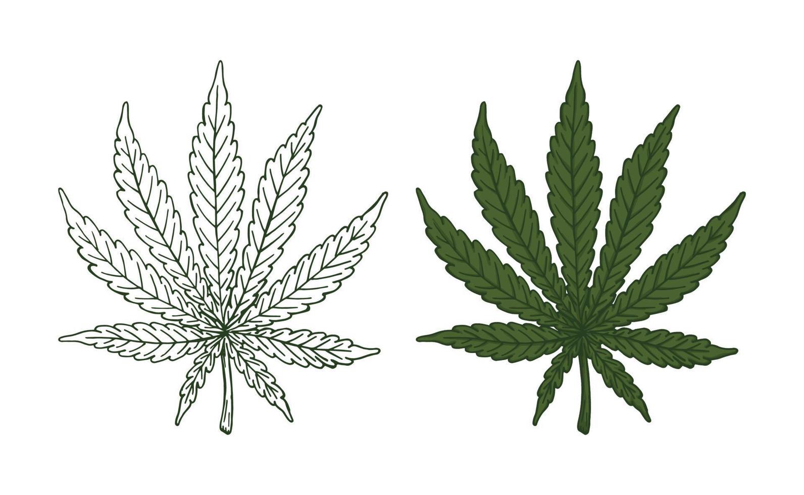 green cannabis leaf retro old line art etching vector