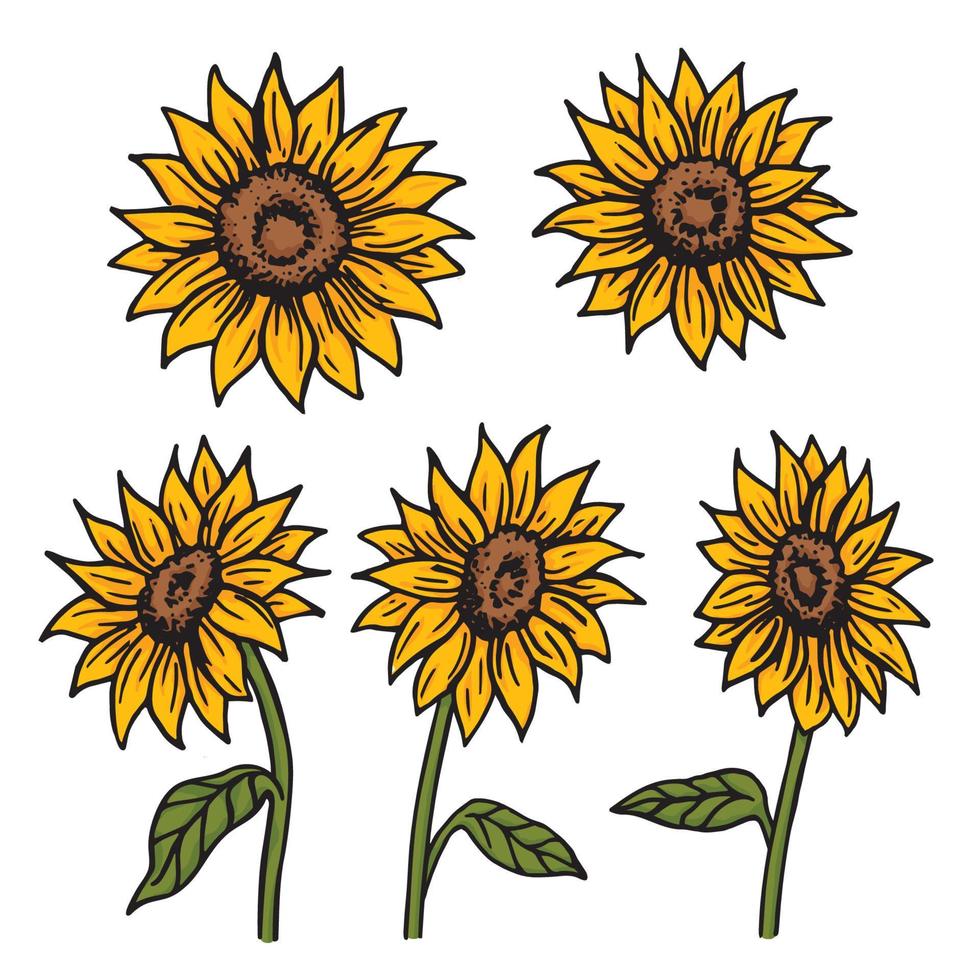 Sunflowers different sides retro old line art etching vector 8642156 ...