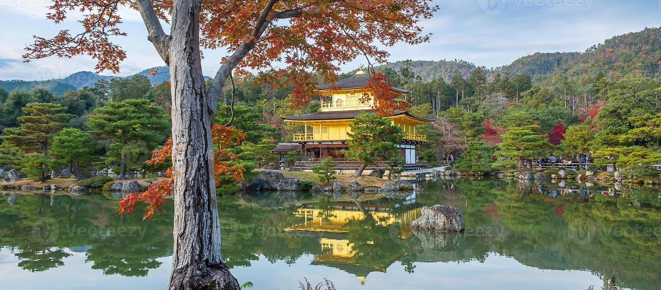 Beautiful of Kinkakuji temple or the golden Pavilion in Autumn foliage season, landmark and famous for tourist attractions in Kyoto, Kansai, Japan photo