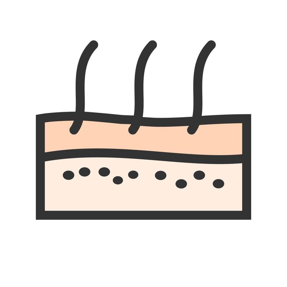 Skin Filled Line Icon vector