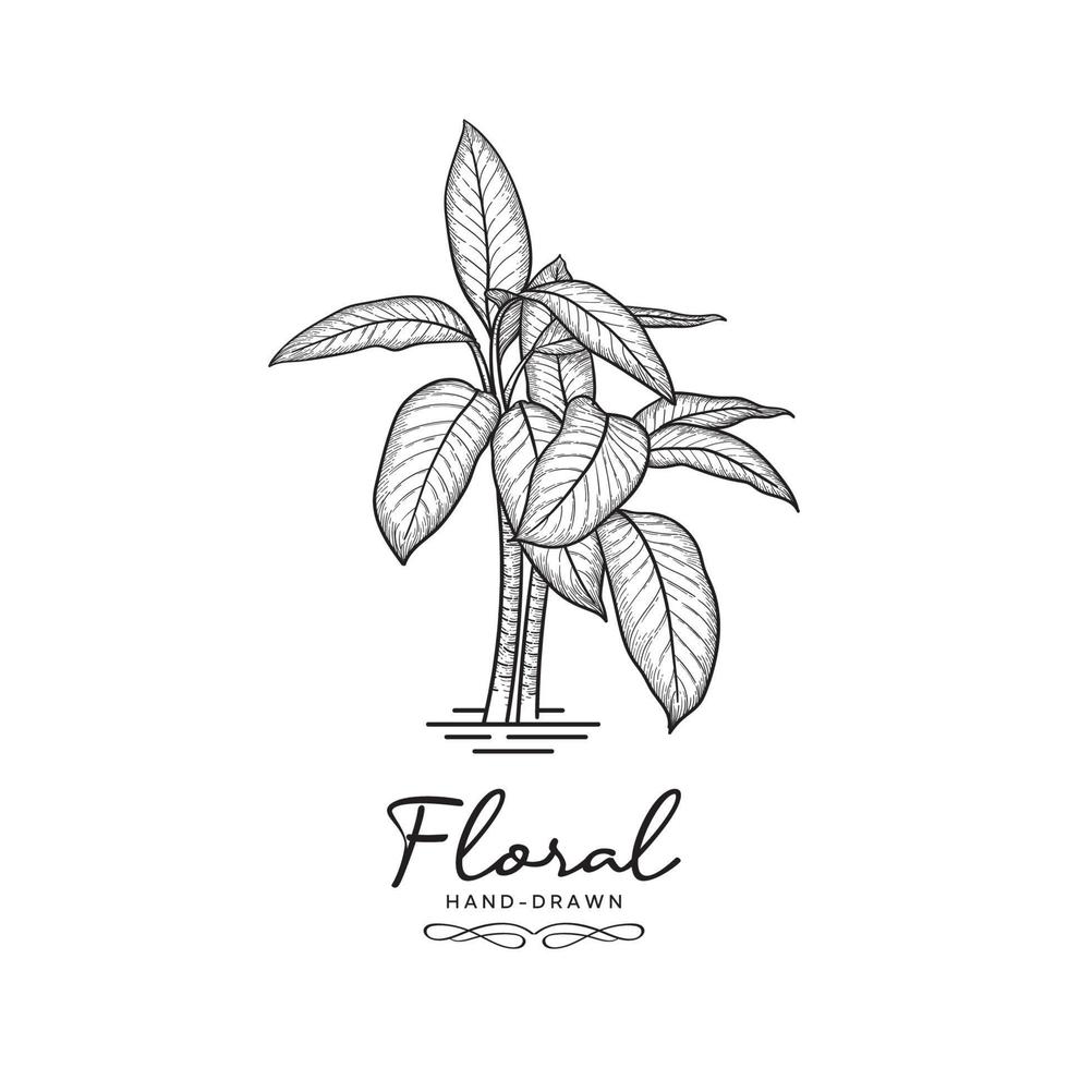 Hand drawn floral vector