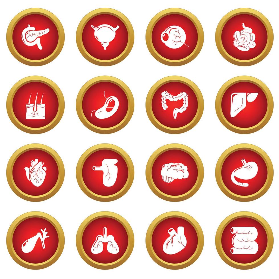 Internal human organs icons set, simple style vector