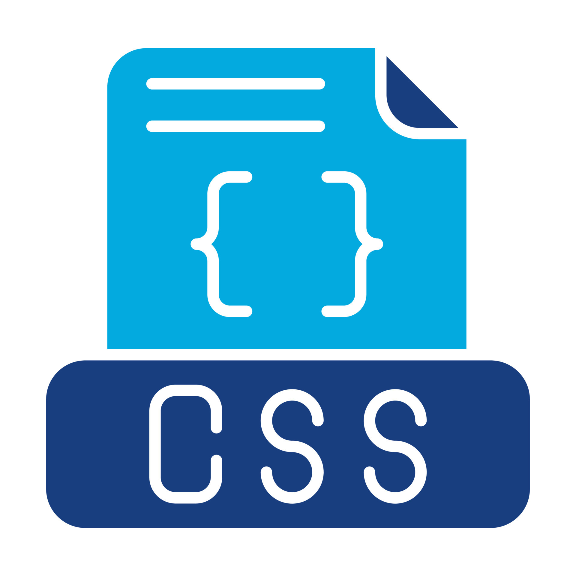 Css File Glyph Two Color Icon 8648971 Vector Art at Vecteezy
