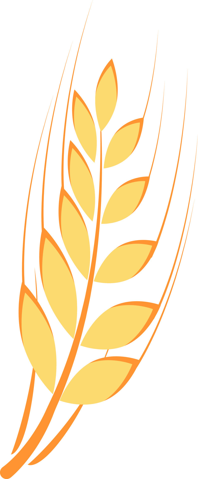 Gold ear of wheat semi flat color vector object 8652326 Vector Art at