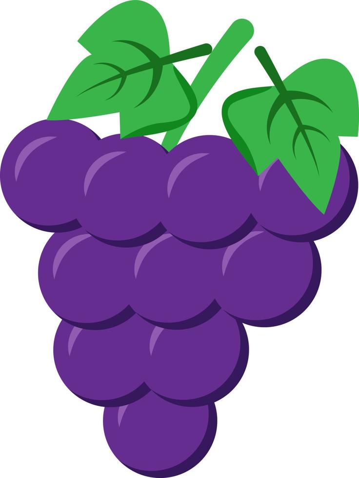 racimo de uvas objeto de vector de color semi plano