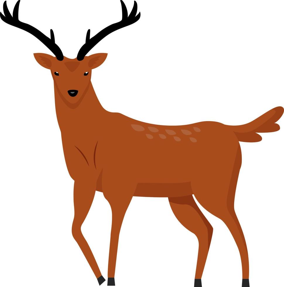 ciervo marrón con dos cuernos de carácter vectorial de color semiplano vector