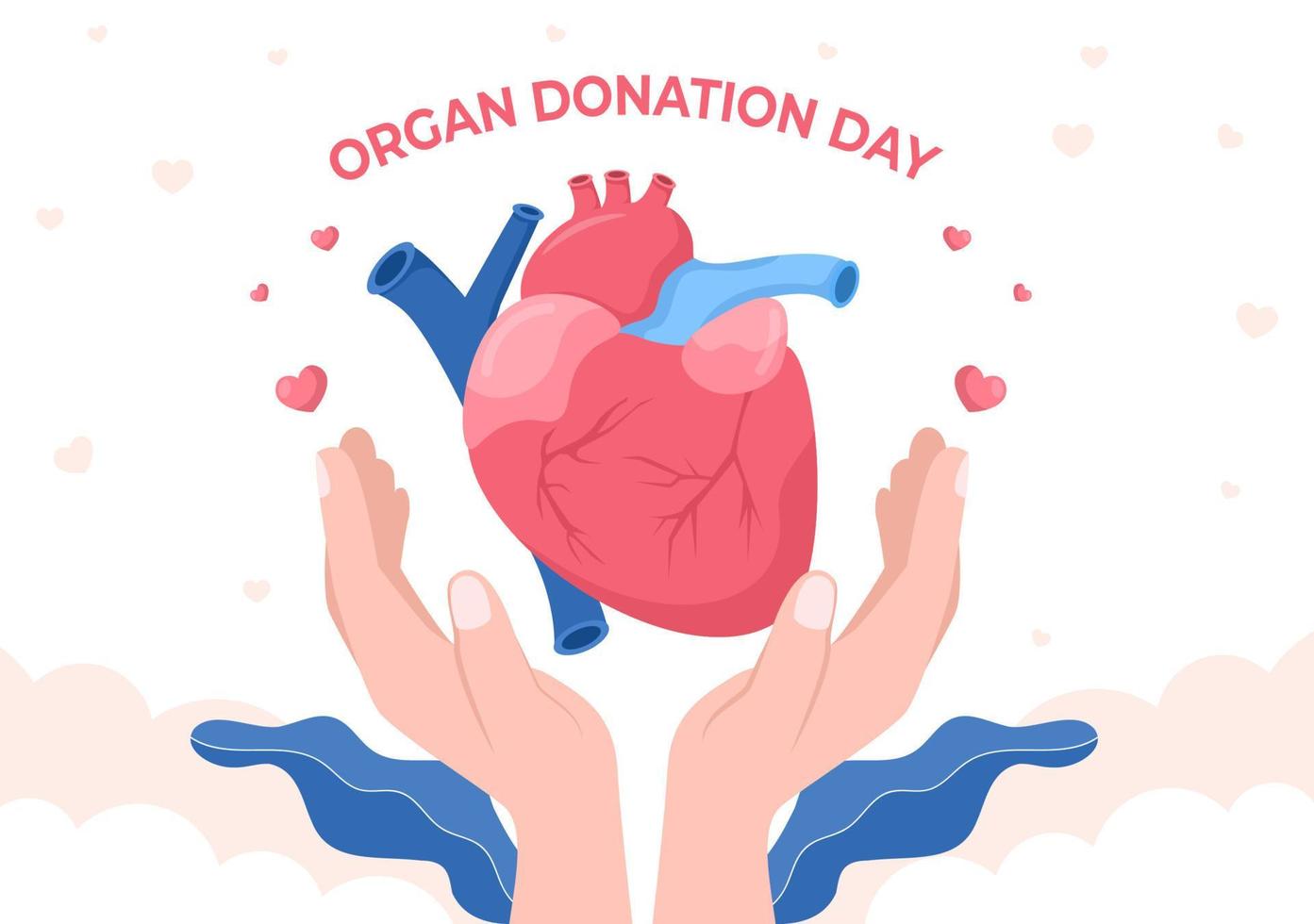 día mundial de la donación de órganos con riñones, corazón, pulmones, ojos o hígado para trasplante, salvando vidas y atención médica en dibujos animados planos vector