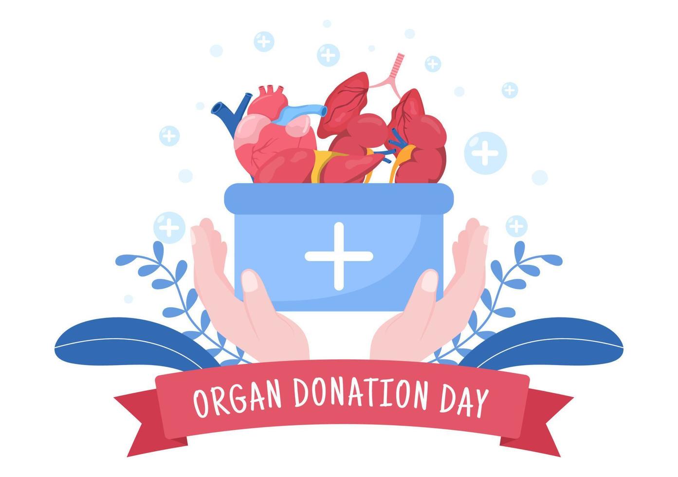 World Organ Donation Day with Kidneys, Heart, Lungs, Eyes or Liver for Transplantation, Saving Lives and Health Care in Flat Cartoon Illustration vector