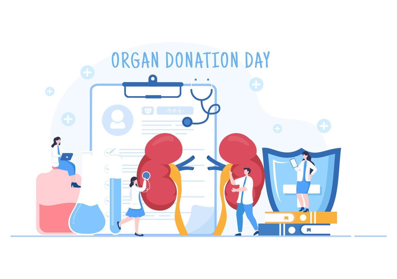 día mundial de la donación de órganos con riñones, corazón, pulmones, ojos o hígado para trasplante, salvando vidas y atención médica en dibujos animados planos vector