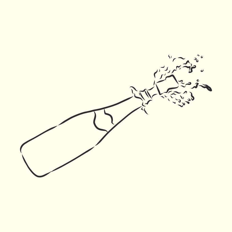champagne vector sketch