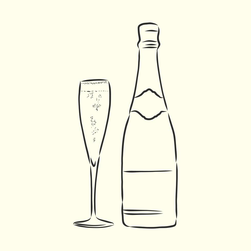 champagne vector sketch