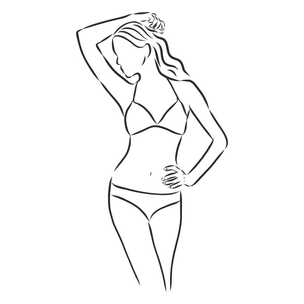 swimsuit vector sketch