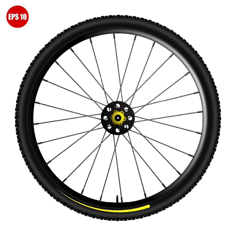realistic bicycle wheel with a protector. Bike rubber mountain tyre, valve. Active kinds of extreme sports. Design element for banner or poster. Color vector
