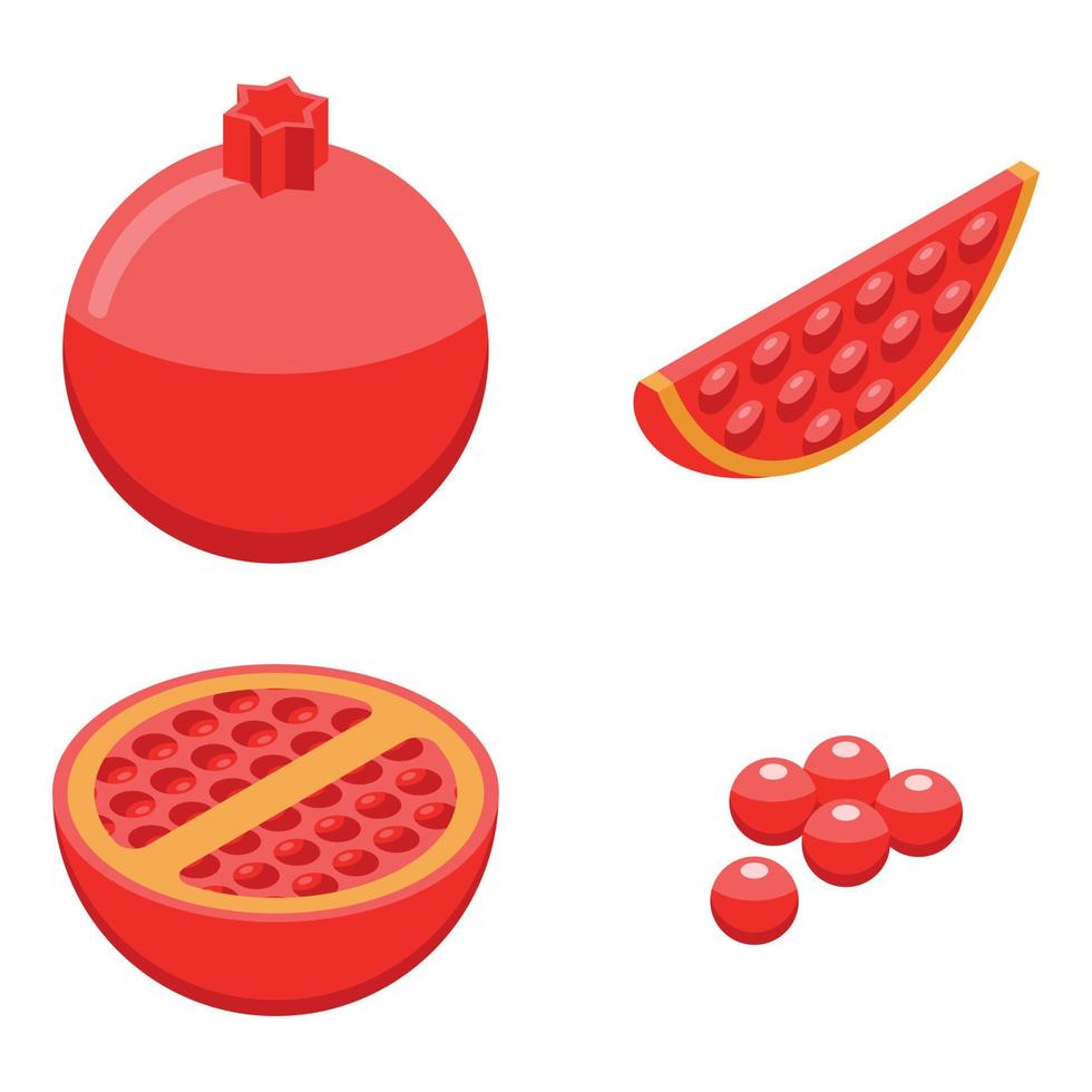 Pomegranate icons set, isometric style vector