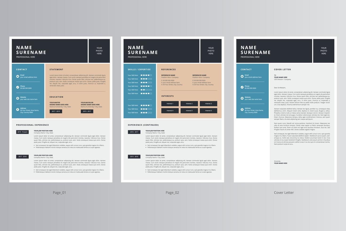 currículum profesional y plantilla de carta de presentación. vector profesional