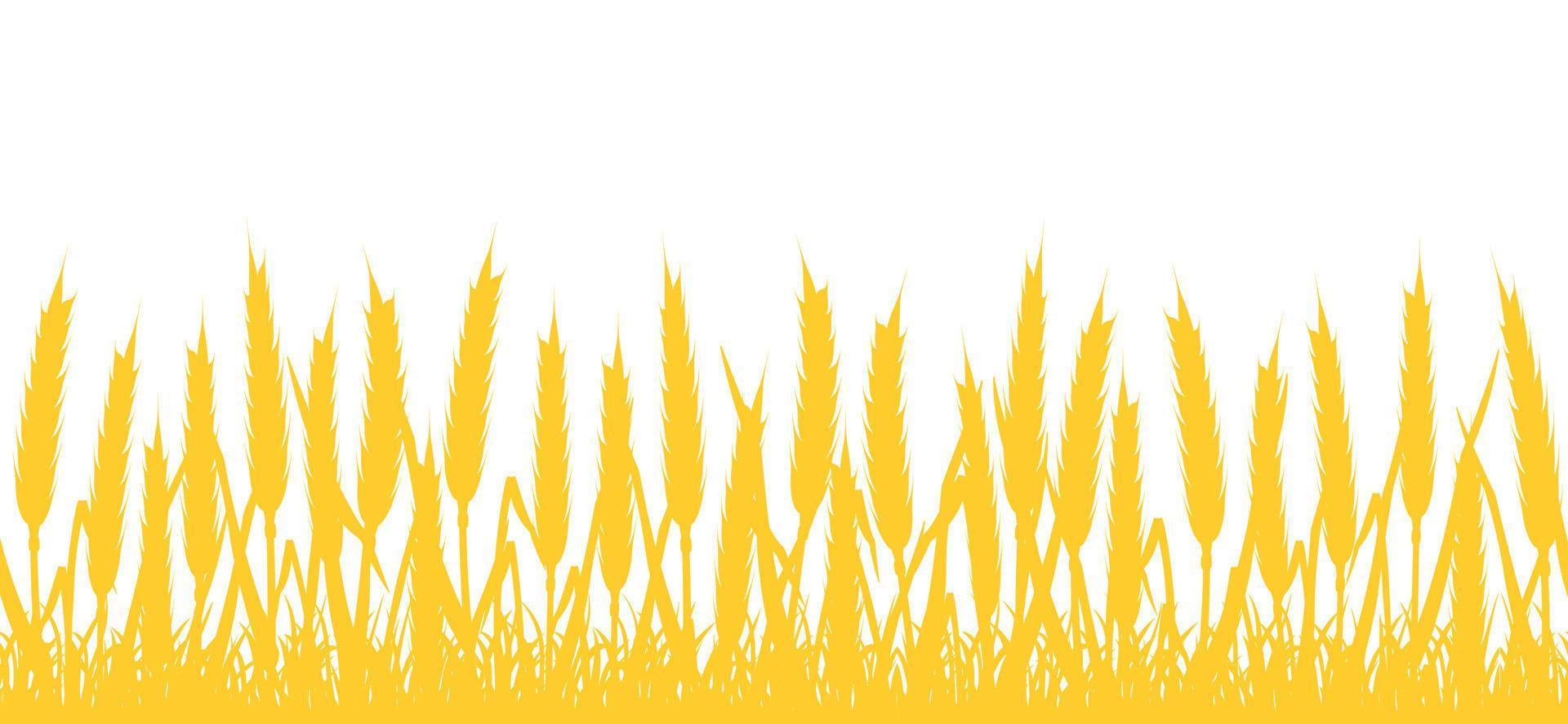 Wheat field silhouette. Seamless border with yellow ears. vector