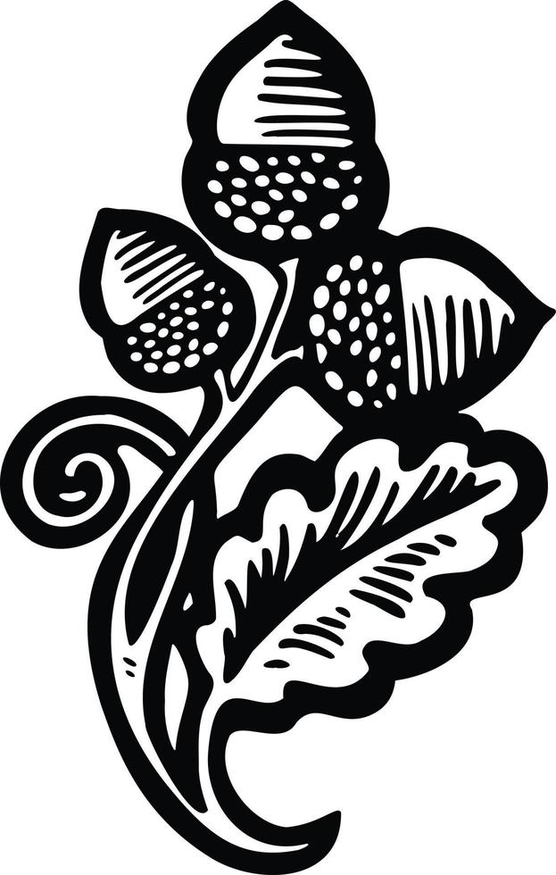 black and white linear sign, designation oak leaves acorns nuts, hand drawn vector illustration