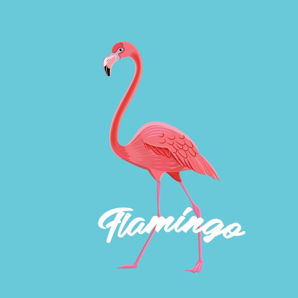 Flamingo logo vector diseño colorido