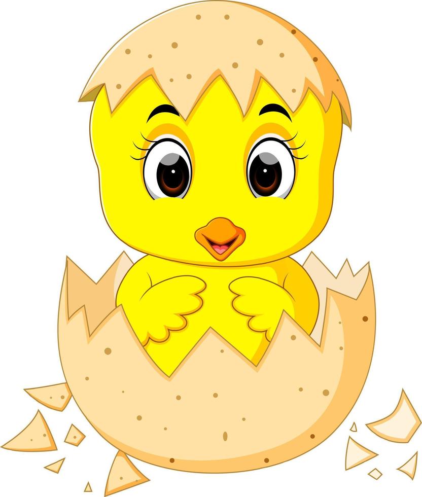 little cartoon chick hatched from an egg vector