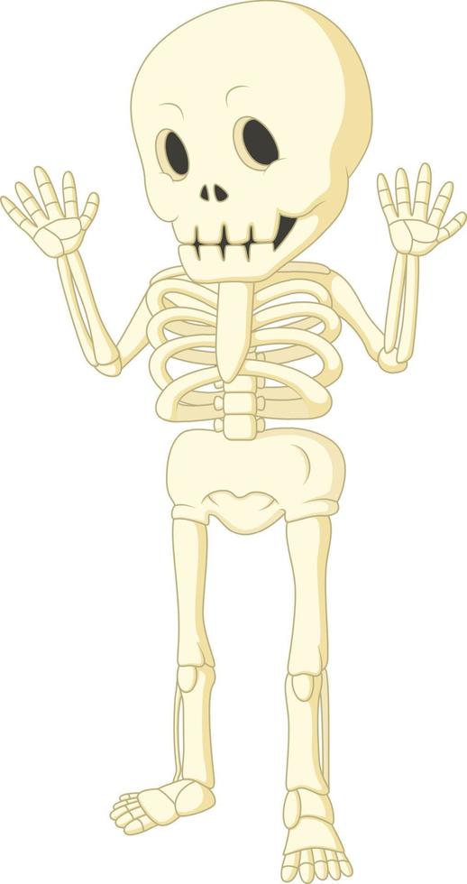 Cartoon funny human skeleton dancing vector