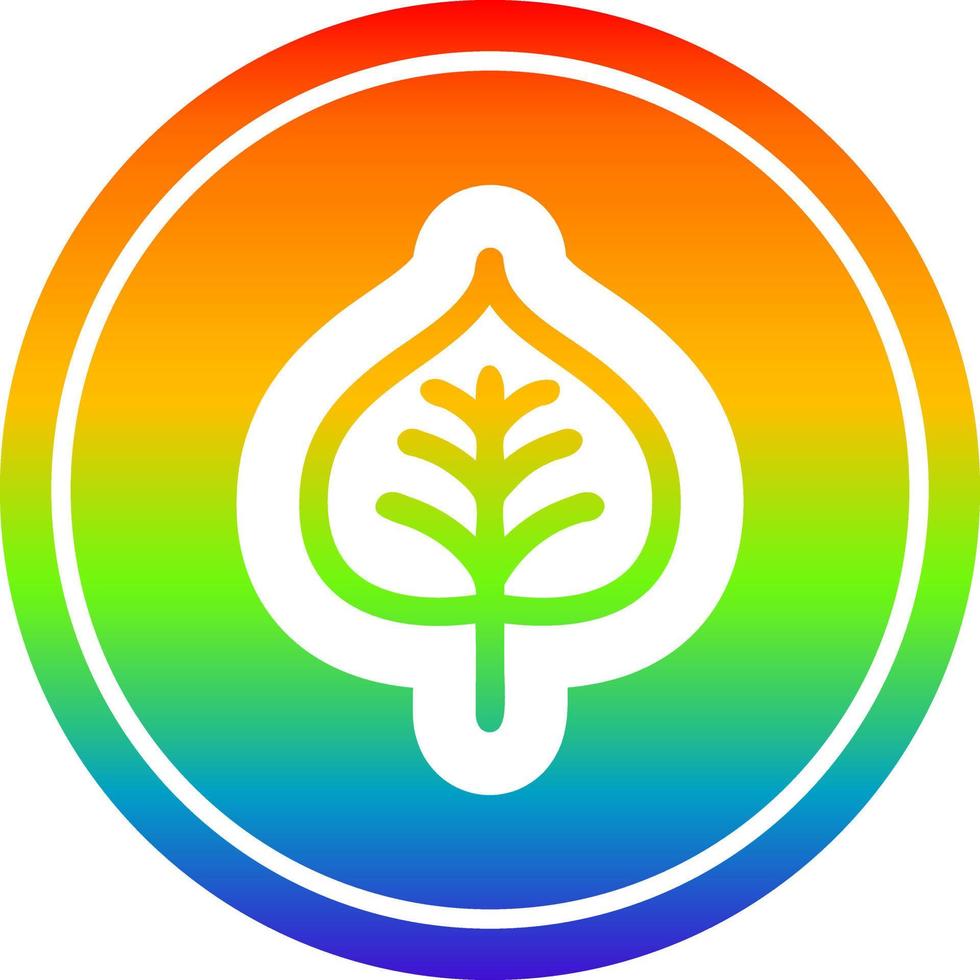 natural leaf circular in rainbow spectrum vector