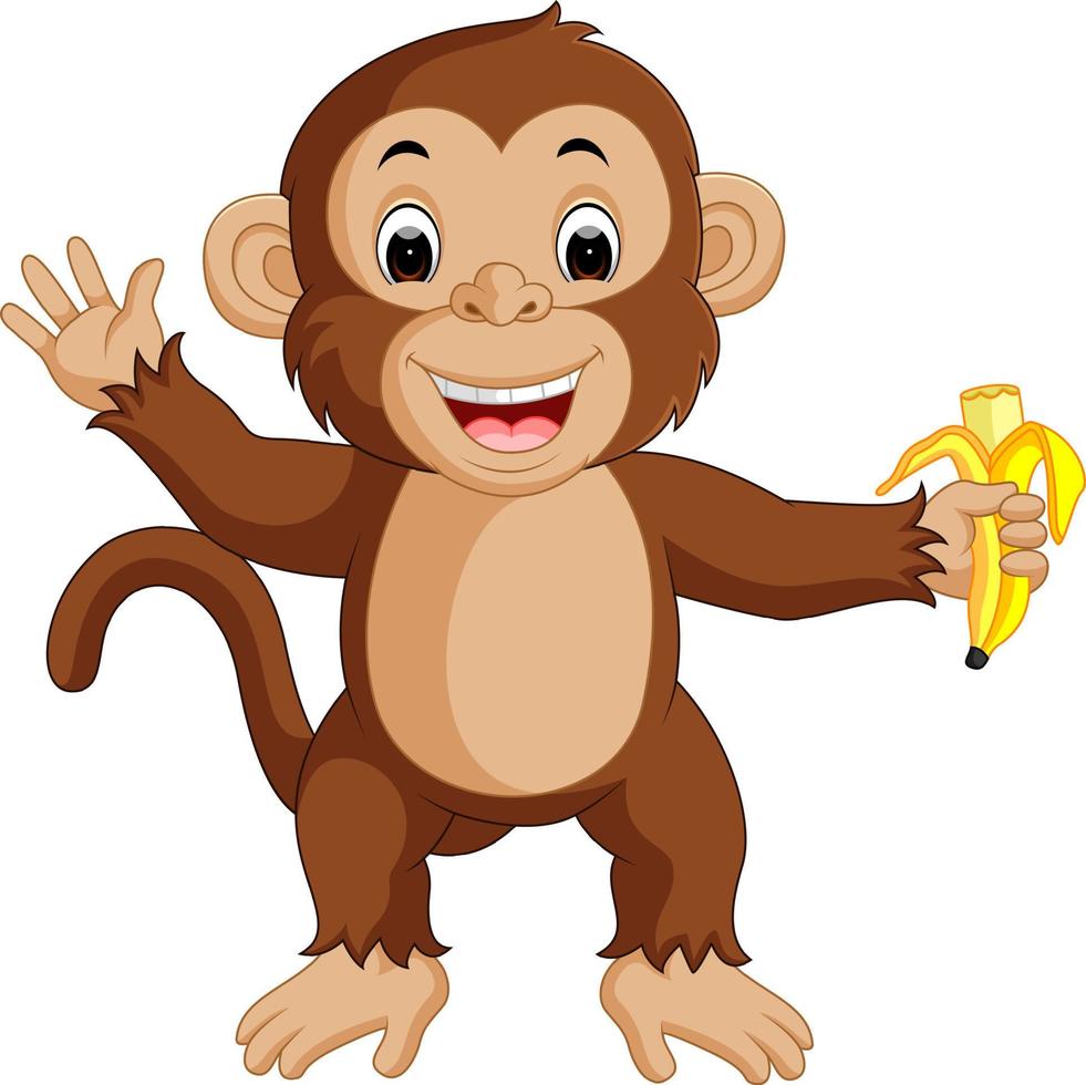 Cute monkey cartoon eating banana vector