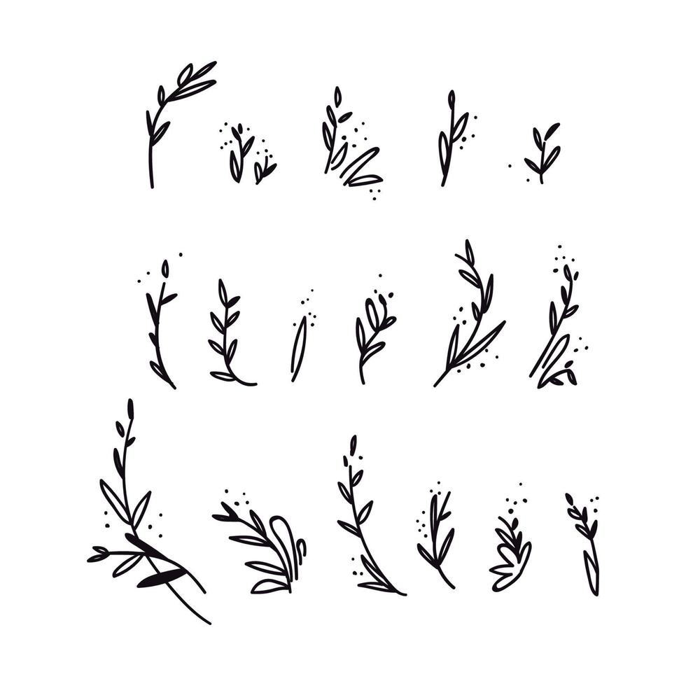 Set of hand-drawn doodle twigs. Collection of abstract black shapes of branches isolated on white. Vector illustration of a stock graphic doodle flowers and twigs isolated on a white background.