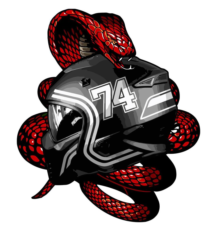 Helmet and snake vector