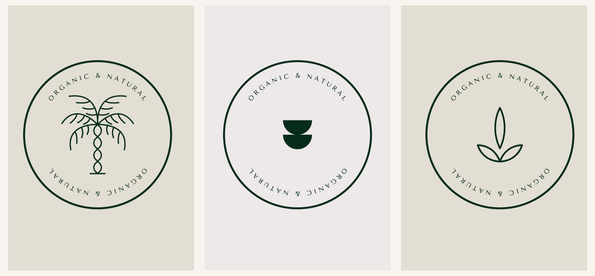 plantillas de logotipos de hojas y palmas lineales de diseño de nutrición vectorial en un estilo minimalista lineal de moda. abstracto celestial y mágico. vector