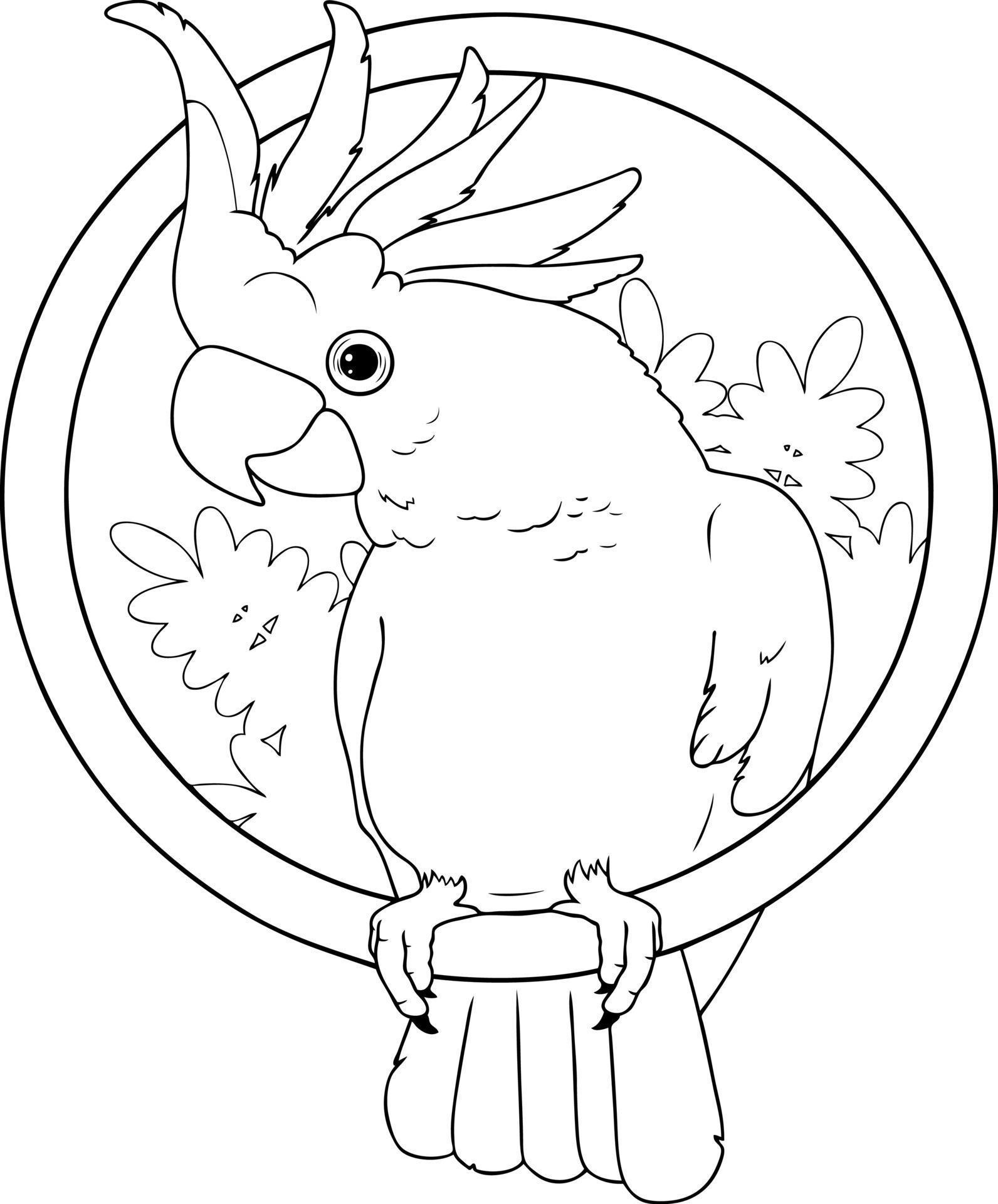 cute cartoon parrot 8669806 Vector Art at Vecteezy