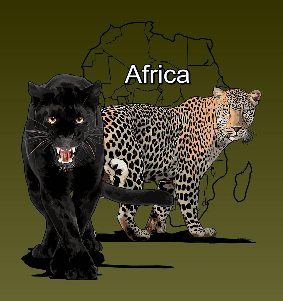 black panther and leopard vector