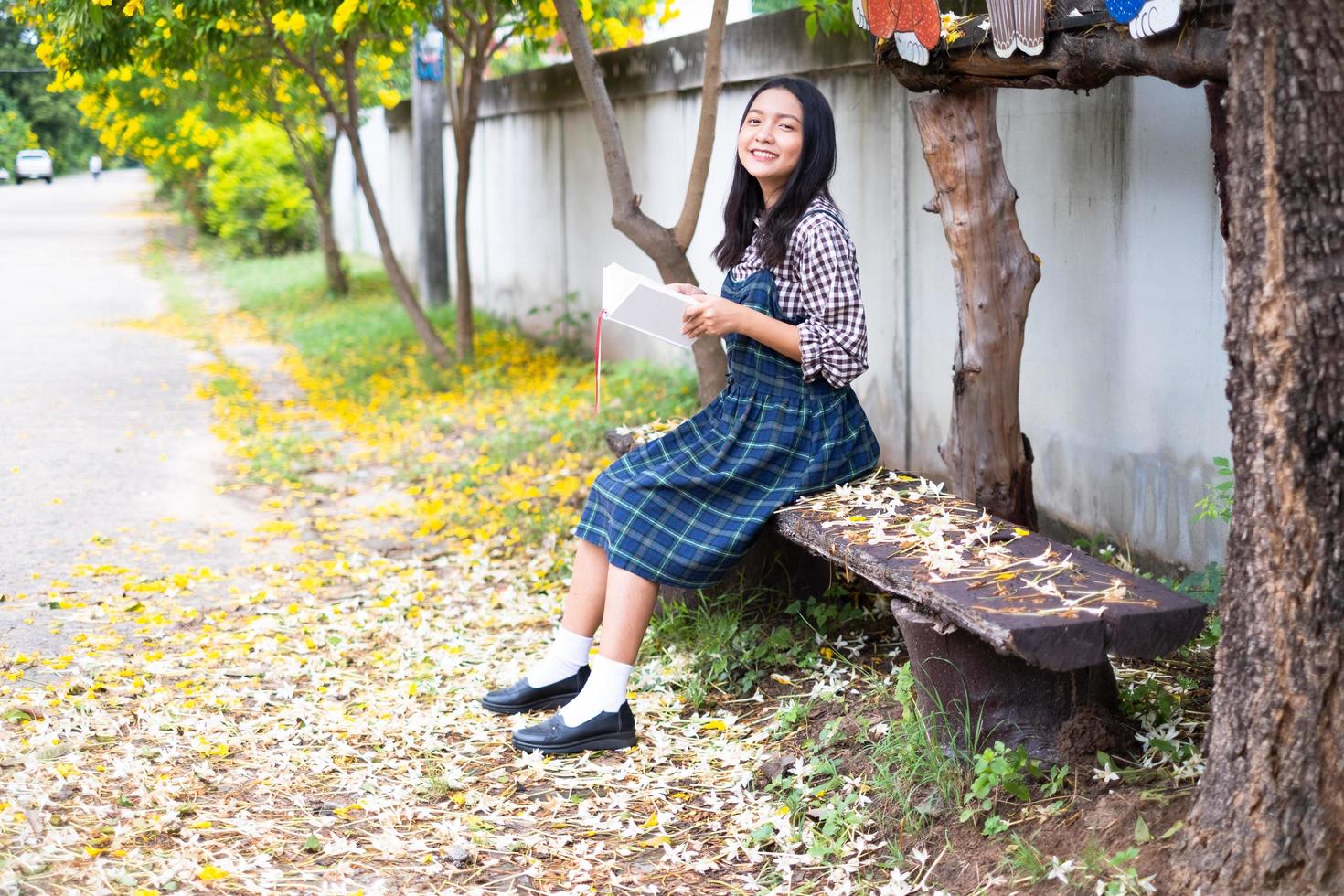 Young girl sitting on a bench reading a book under a beautiful tree. photo