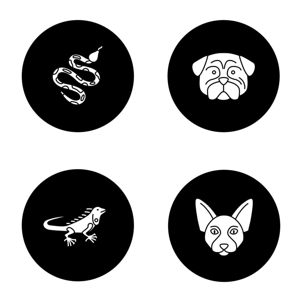 Pets glyph icons set. Python, pug, iguana, Canadian Sphynx. Vector white silhouettes illustrations in black circles